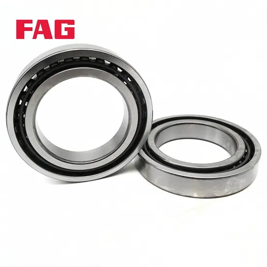 Double Row Angular Contact Ball Bearing 3204-Bd-XL-2hrs-Tvh FAG for Precision Machinery