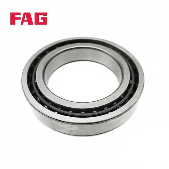 Double Row Angular Contact Ball Bearings 3206-Bd-XL-Tvh-C3 FAG P5 2RS for Cooling Tower Components