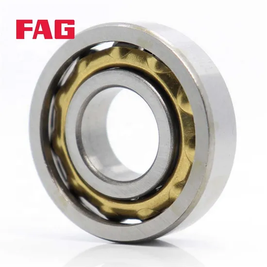 Double Row Angular Contact Ball Bearing 3303-B-2z-Tnh FAG for Auto Wheel Hub High Precision P5
