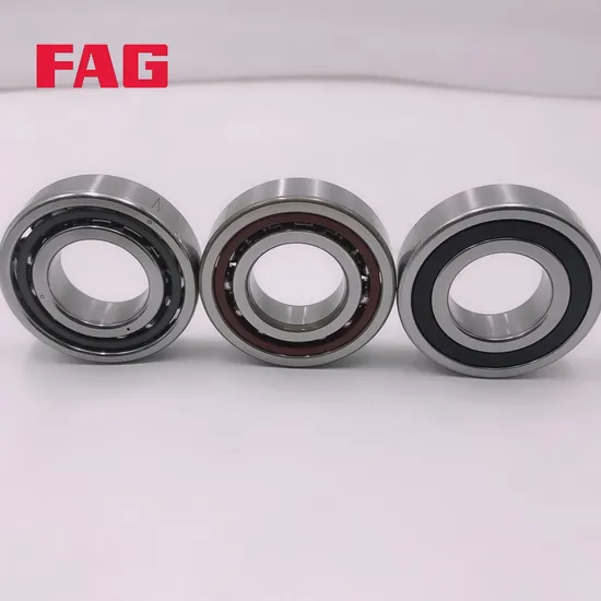 3304-Bd-XL-Tvh FAG Double Row Angular Contact Ball Bearing for Industrial Machinery P0-P5 Precision