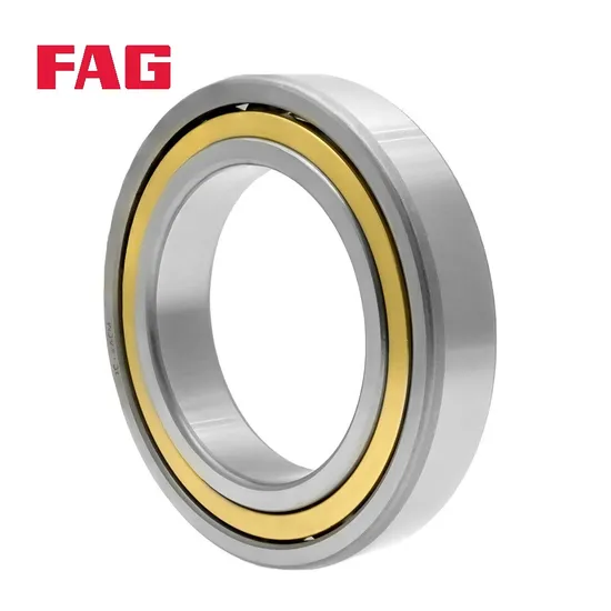 Double Row Angular Contact Ball Bearing 3307-Bd-XL-Tvh-L285 FAG P0/P6/P5 Precision for Industrial Machinery