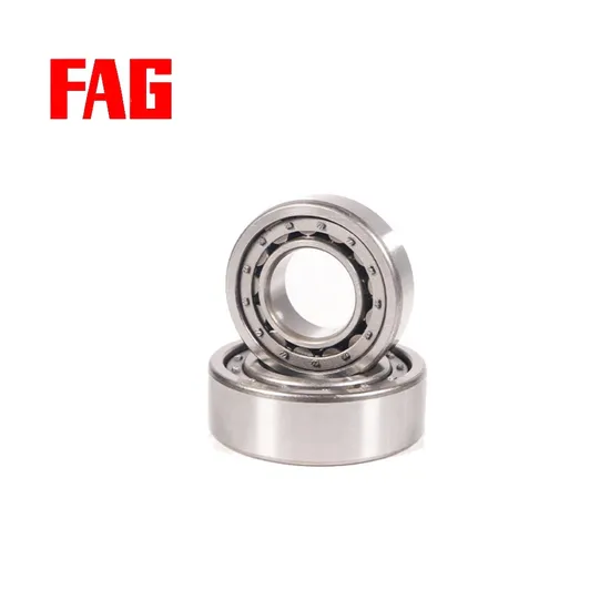 Cylindrical Roller Bearing B71924-C-T-P4s-UL for Hydraulic Pump and Precision Spindle