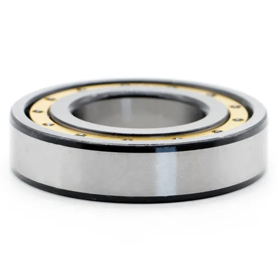 High Precision Double Row Cylindrical Roller Bearing NN3005 NN3006 NN3007 P4 W33 for Industrial Machinery