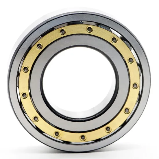 High Precision Double Row Cylindrical Roller Bearing NN3007K NN3008K NN3009K P5 P4 W33 for Industrial Machinery