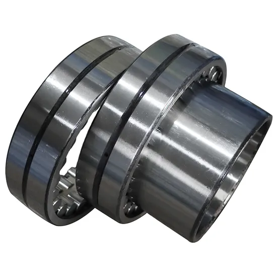 High Precision Double Row Cylindrical Roller Bearing NN3044 P4 W33 for Industrial Machinery