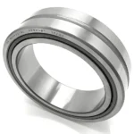 Needle Roller Bearing NK110/30 NK110/40 for Industrial Machinery with P0-P4 Precision