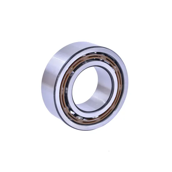 Angular Contact Bearing 3202 A-2ZTN9/MT33 for Food Machinery 10x26x8mm P0-P4 Precision