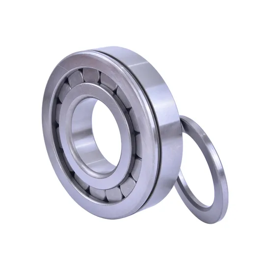 Cylindrical Roller Bearing N204 NF204 NJ204 NU204 for Industrial Machinery with P0-P4 Precision