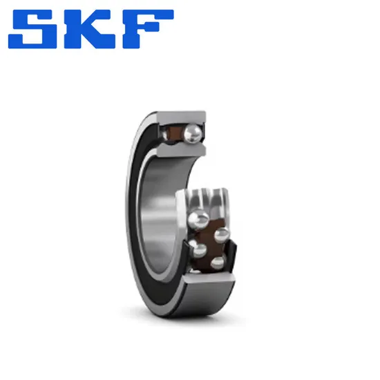 Double Row Cylindrical Roller Bearing SKF Nn 3018 Ktn9/Q497 for Industrial Machinery