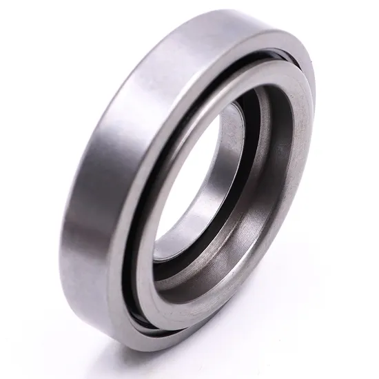 Deep Groove Ball Bearing 6906 Zz 2RS DDU 10x26x8mm for Combustion Engines & Vehicles