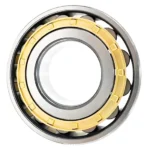 Cylindrical Roller Bearing N221EM NJ221EM NF221EM for Lathe Spindle P0-P4 Precision