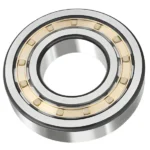 Cylindrical Roller Bearing N221EM NJ221EM NF221EM for Lathe Spindle P0-P4 Precision