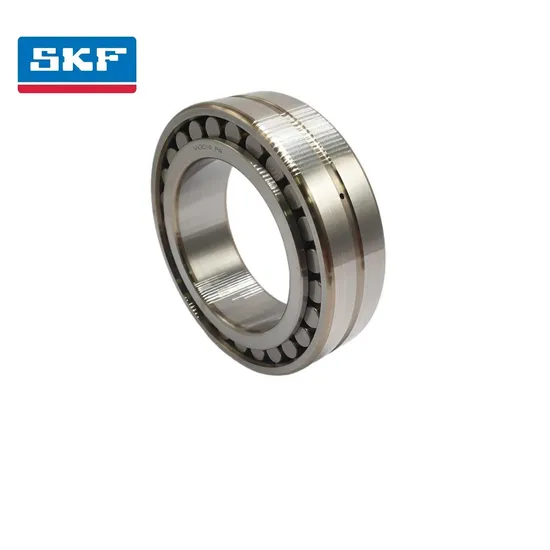 Energy Machinery Double Row Cylindrical Roller Bearing Nup320-Ec J for New Energy Equipment with C3 Clearance